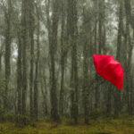 De nyeste trends inden for puslekommoder