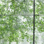 De mest almindelige fejl i husvandværk og hvordan du undgår dem