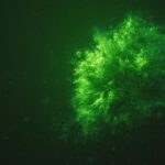 Få ren og frisk hud med Biotherm’s effektive ansigtsvask